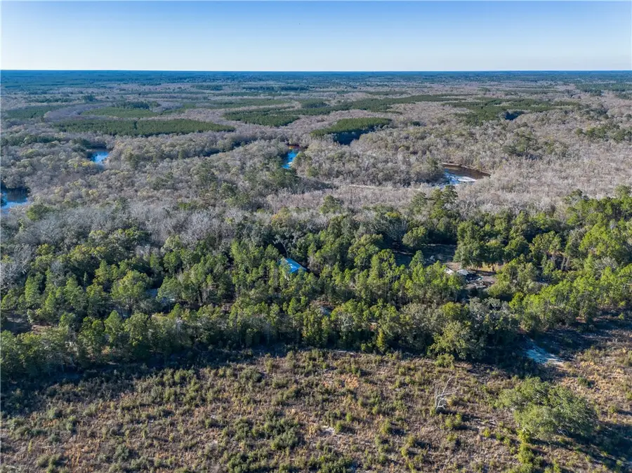 1320 Douglas Fish Camp Road, White Oak, GA 31568 - #2