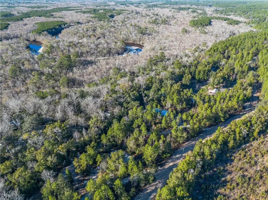 1320 Douglas Fish Camp Road, White Oak, GA 31568 - #3