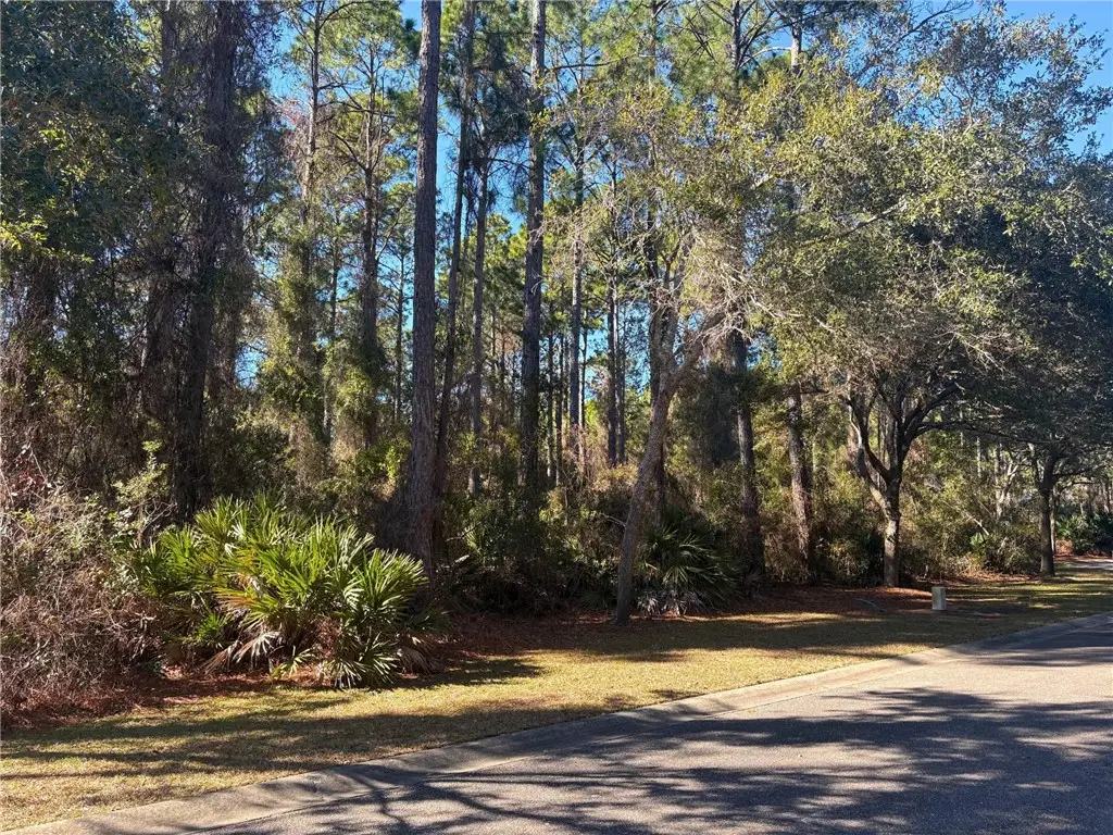 0 Gamefish Lane, Saint Marys, GA 31558 - #1