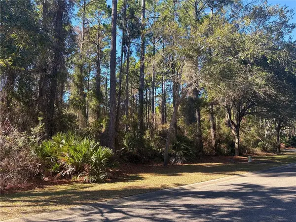 0 Gamefish Lane, St Marys, GA 31558