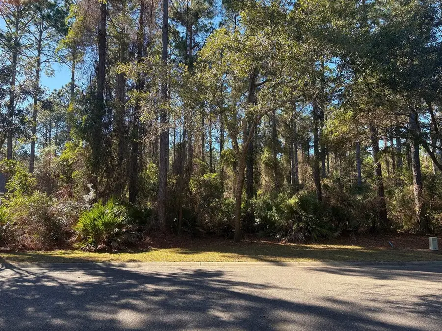 0 Gamefish Lane, Saint Marys, GA 31558 - #2