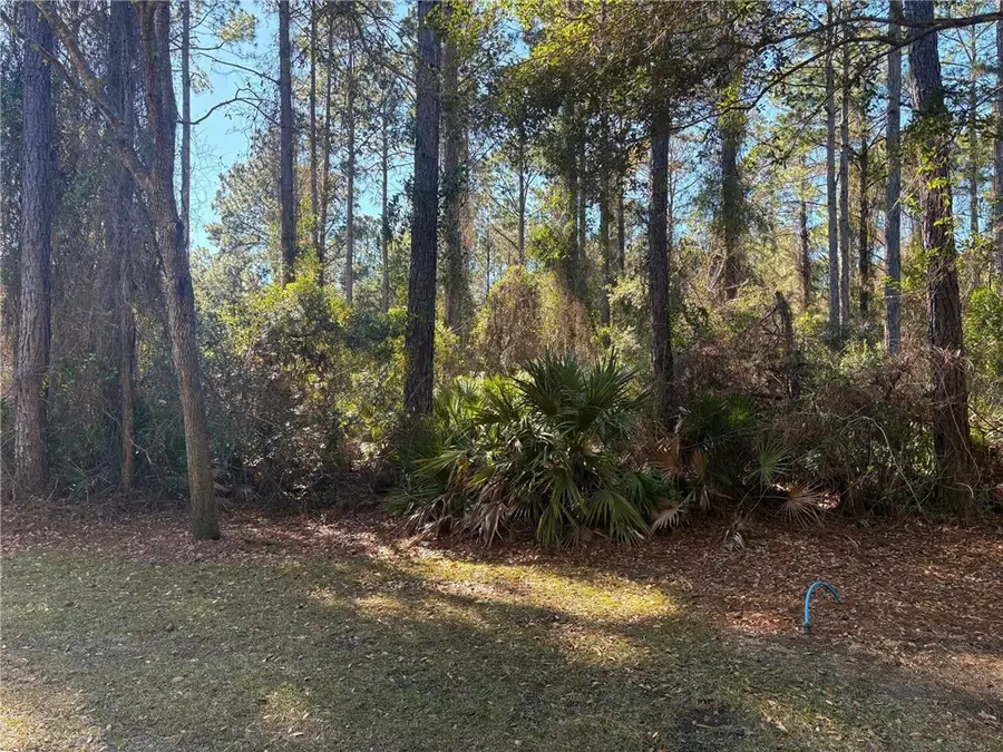 0 Gamefish Lane, Saint Marys, GA 31558 - #3