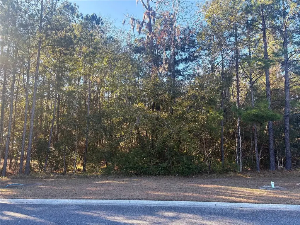 0 Sanctuary Harbour Trail, Waverly, GA 31565 - #1