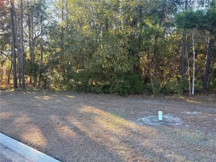 0 Sanctuary Harbour Trail, Waverly, GA 31565 - #2