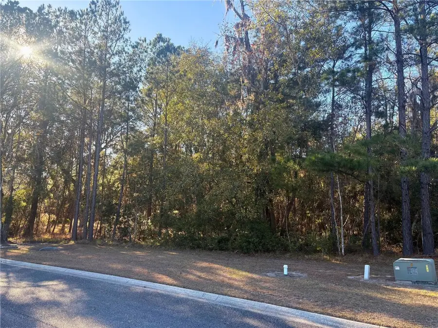 0 Sanctuary Harbour Trail, Waverly, GA 31565 - #3