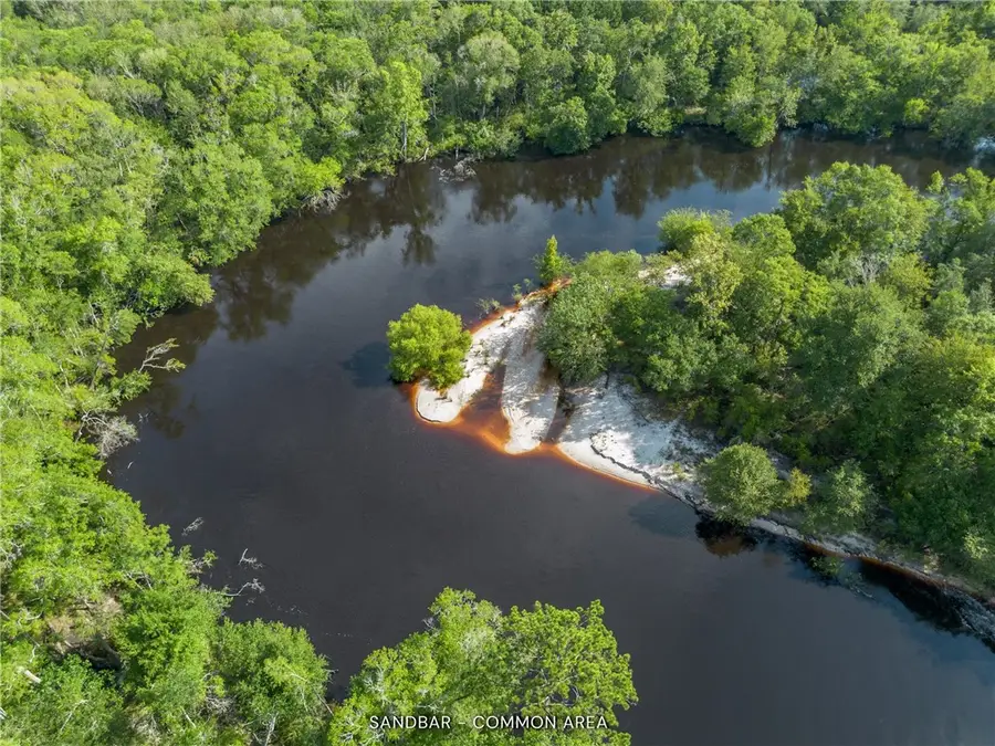 1360 Douglas Fish Camp Road, White Oak, GA 31568 - #2