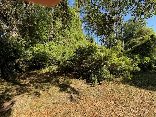 113 Butler Lake Drive, Saint Simons Island, GA 31522 - #3