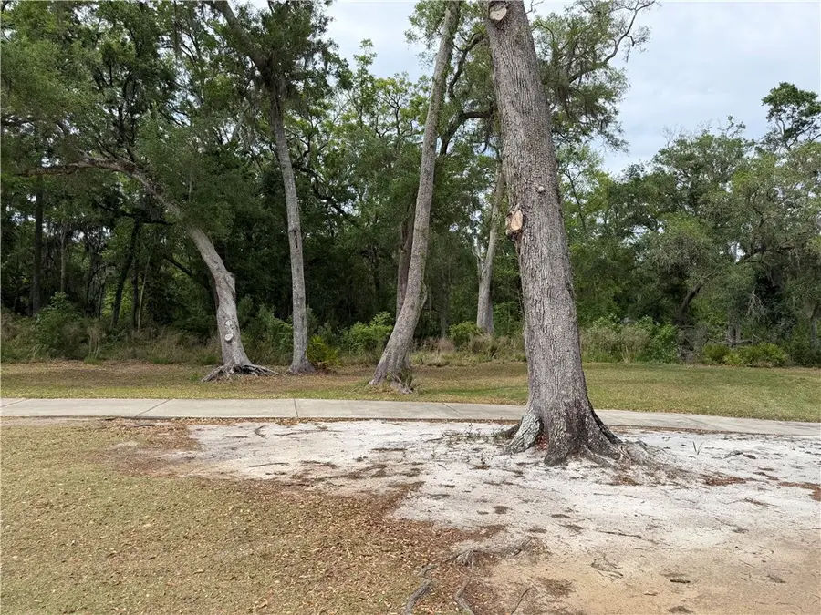 Lot 4 Palmetto Wynd Drive, Waverly, GA 31565 - #3
