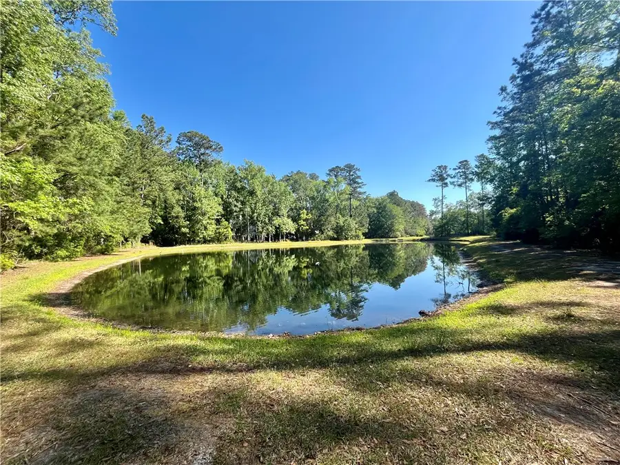 Lot 171 Winterberry Drive Ne, Townsend, GA 31331 - #2