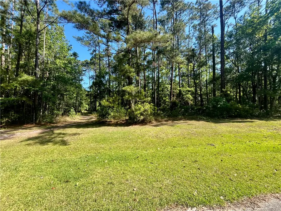 Lot 171 Winterberry Drive Ne, Townsend, GA 31331 - #3