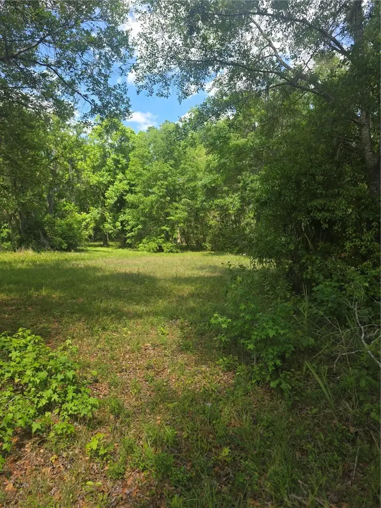117, 121-123, 137, 141 Drew Circle, Brunswick, GA 31525 - #2