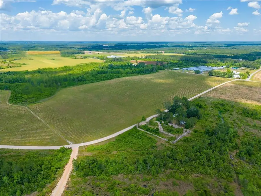 Tract 18 Sellers Road Nw, Baxley, GA 31513 - #2