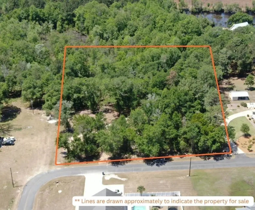 51 Coweta Road, Hoboken, GA 31542 - #3