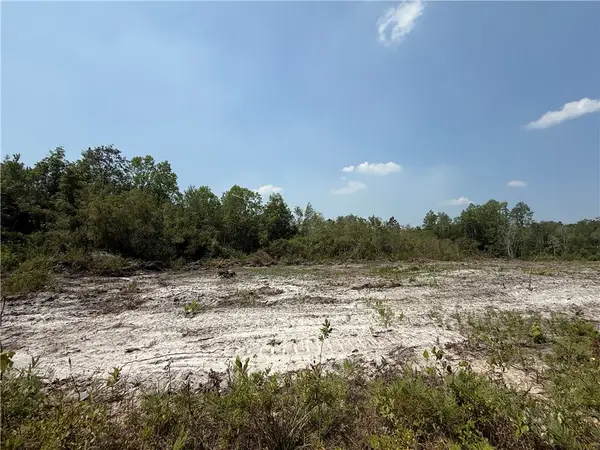 0 Mineral Springs Road, Waynesville, GA 31566