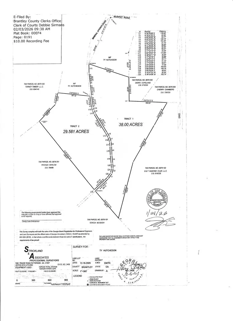 0 Mineral Springs Road, Waynesville, GA 31566 - #3
