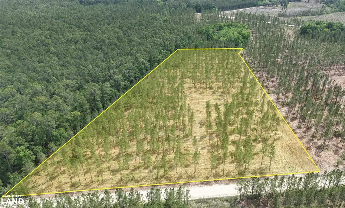 3000 Buck Swamp Road, Brunswick, GA 31523 - #1