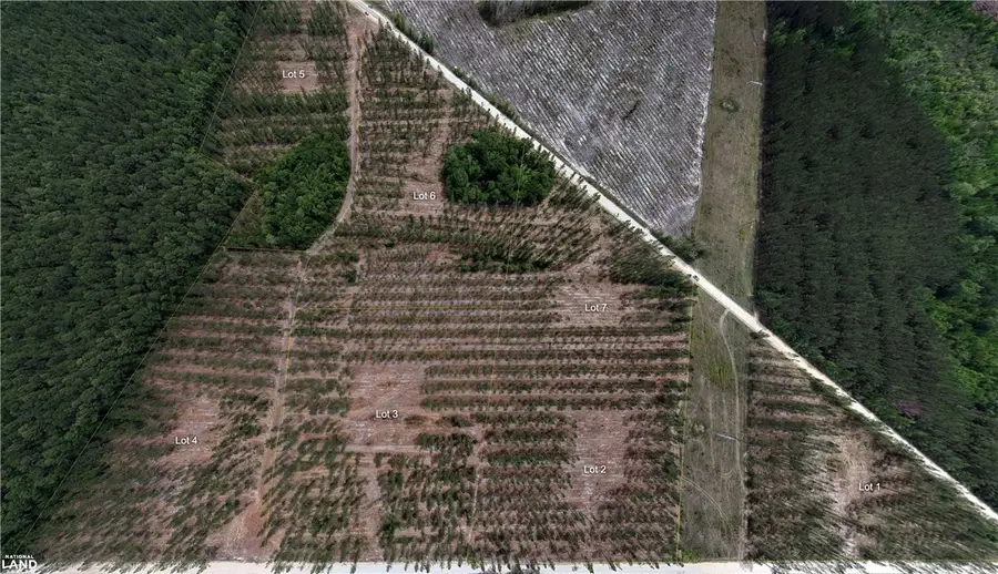3000 Buck Swamp Road, Brunswick, GA 31523 - #2