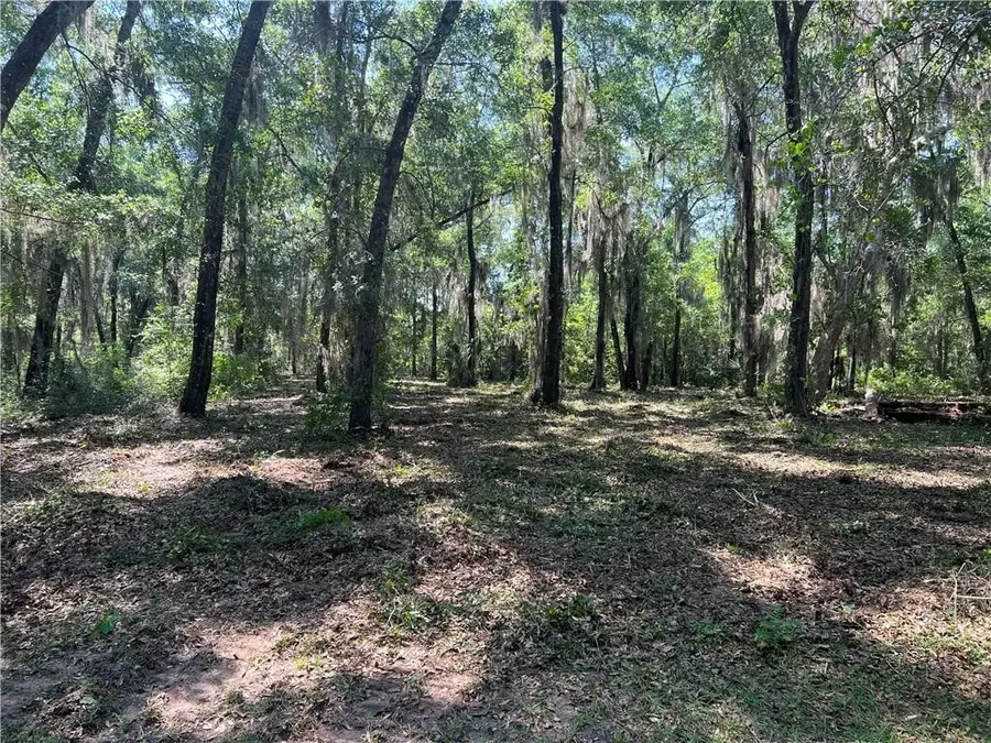 Lot 56 St. Josephs Point, Darien, GA 31520 - #3