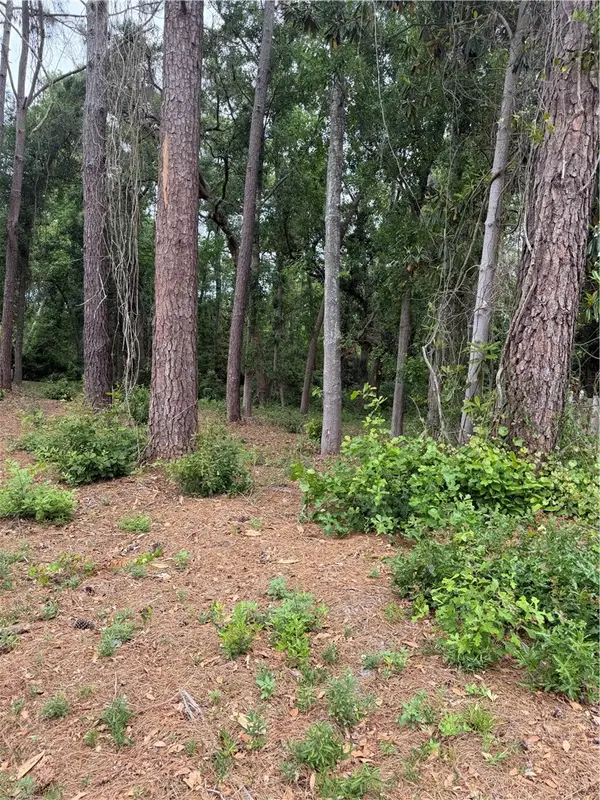134 Palmera Lane, Brunswick, GA 31520
