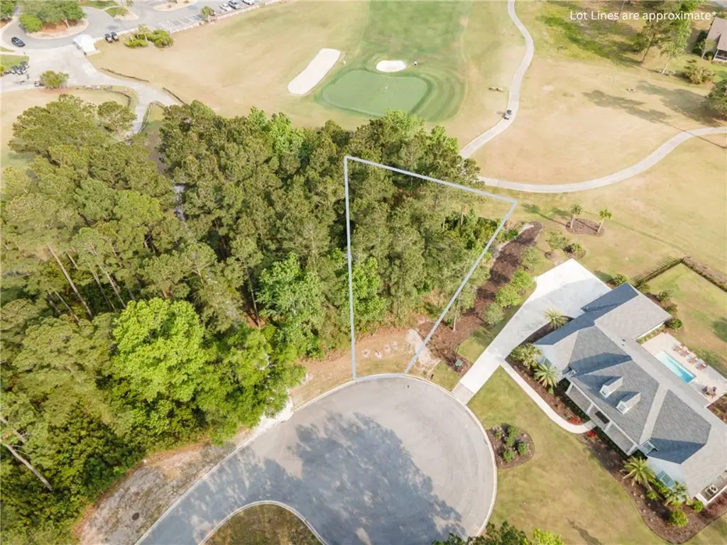 Lot 39 Lone Pine Court, Waverly, GA 31565 - #1