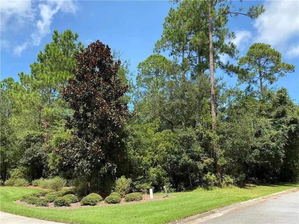 205 Stillwater Drive Drive, Saint Simons Island, GA 31522 - #1