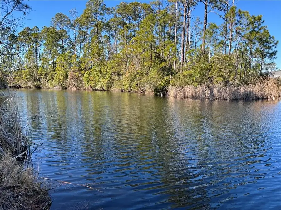 205 Stillwater Drive Drive, Saint Simons Island, GA 31522 - #2