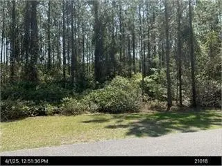 115 Tacatacoru Court, St Marys, GA 31558