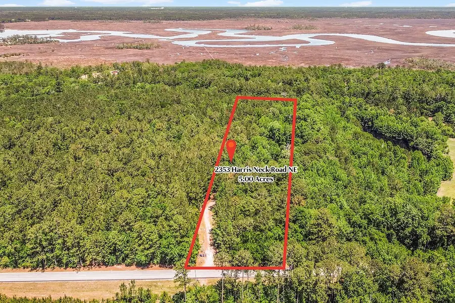 2353 Harris Neck Road Ne, Townsend, GA 31331 - #2