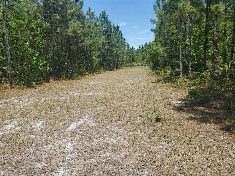 0 Satilla Forest Boulevard, Brunswick, GA 31525 - #2