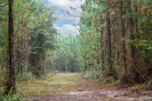 5 tract Old Saddle Way Road, Townsend, GA 31331