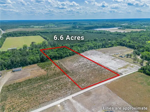 6.6 Acres Bert Rd. Road, Hoboken, GA 31542