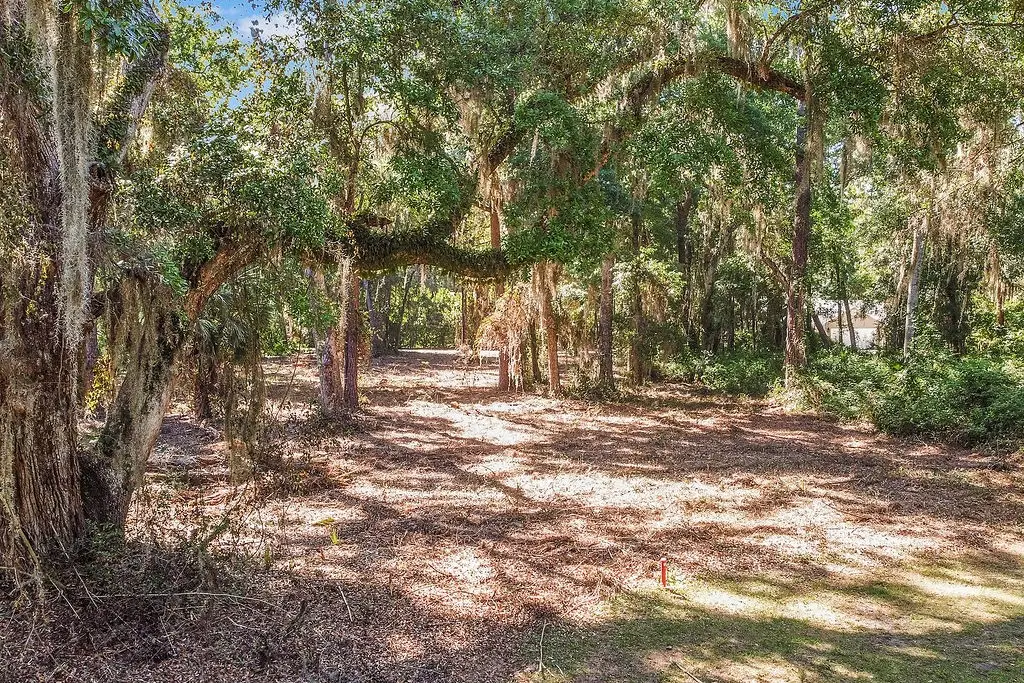 Lot 80 SE Tolomato Drive Drive, Darien, GA 31305 - #1
