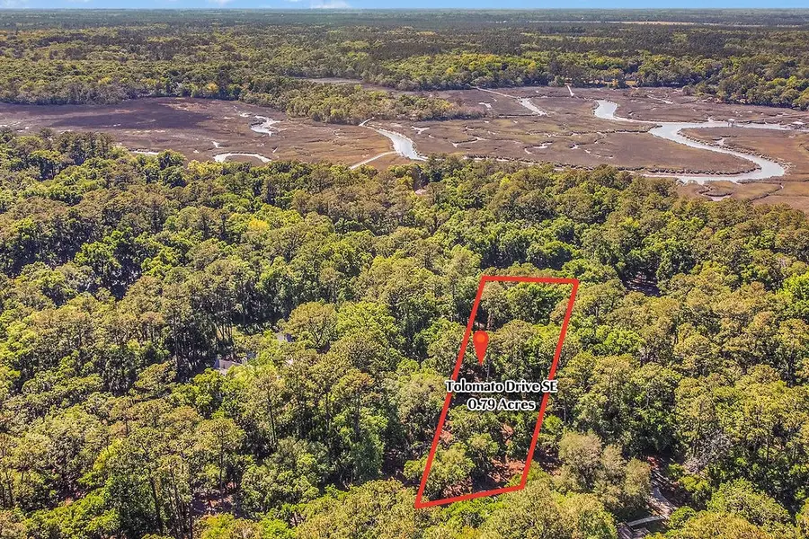 Lot 80 SE Tolomato Drive Drive, Darien, GA 31305 - #2
