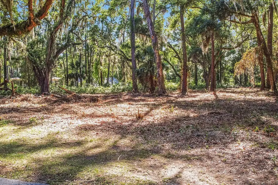 Lot 80 SE Tolomato Drive Drive, Darien, GA 31305 - #3