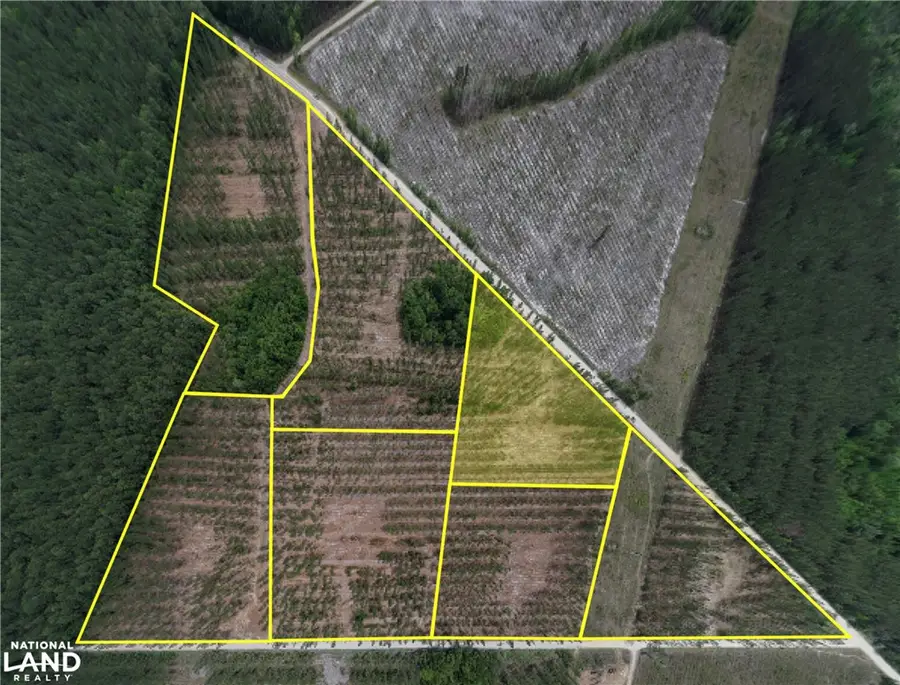 3000G Buck Swamp Road, Brunswick, GA 31523 - #2