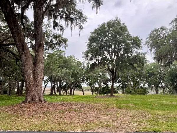 Lot 233 Coopers Point Drive Ne, Townsend, GA 31331