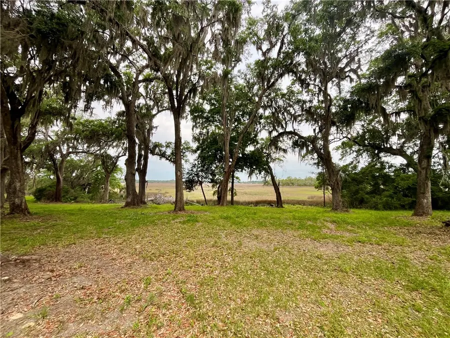 Lot 233 Coopers Point Drive Ne, Townsend, GA 31331 - #2