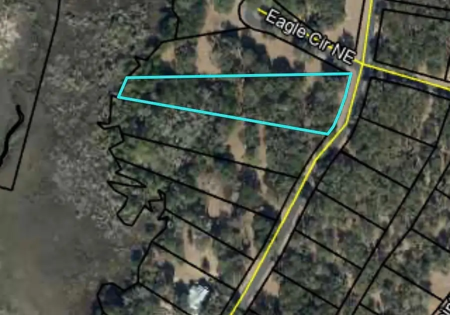 Lot 241 Coopers Landing Drive Ne, Townsend, GA 31331 - #2