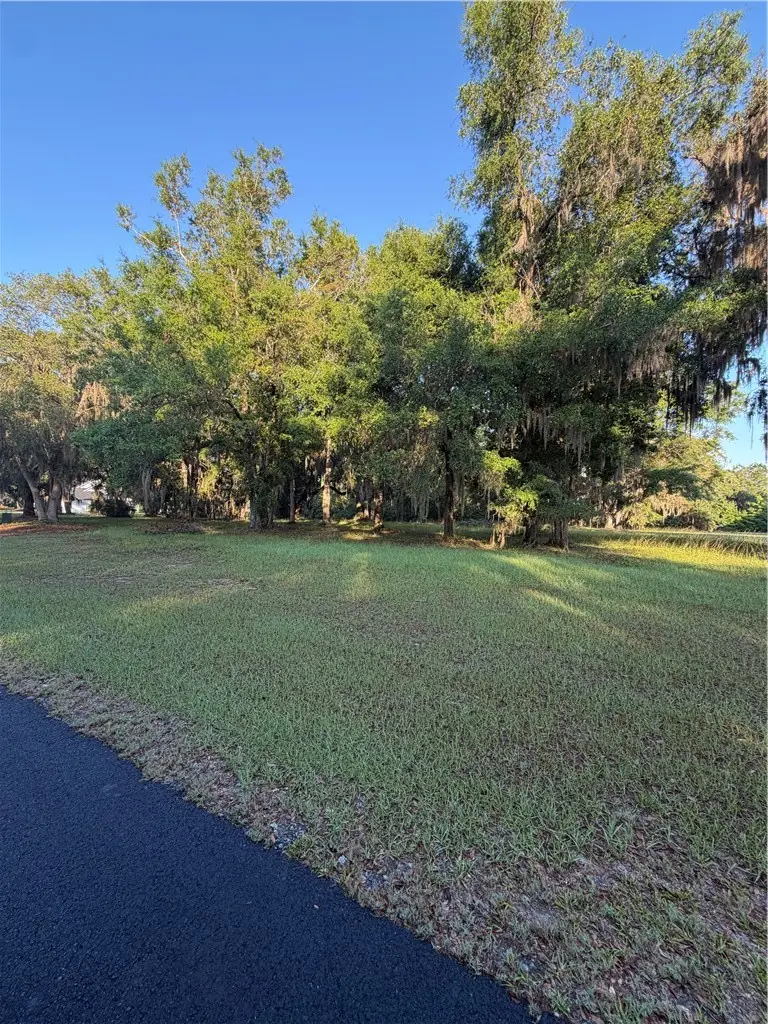Lot 241 Coopers Landing Drive Ne, Townsend, GA 31331 - #3