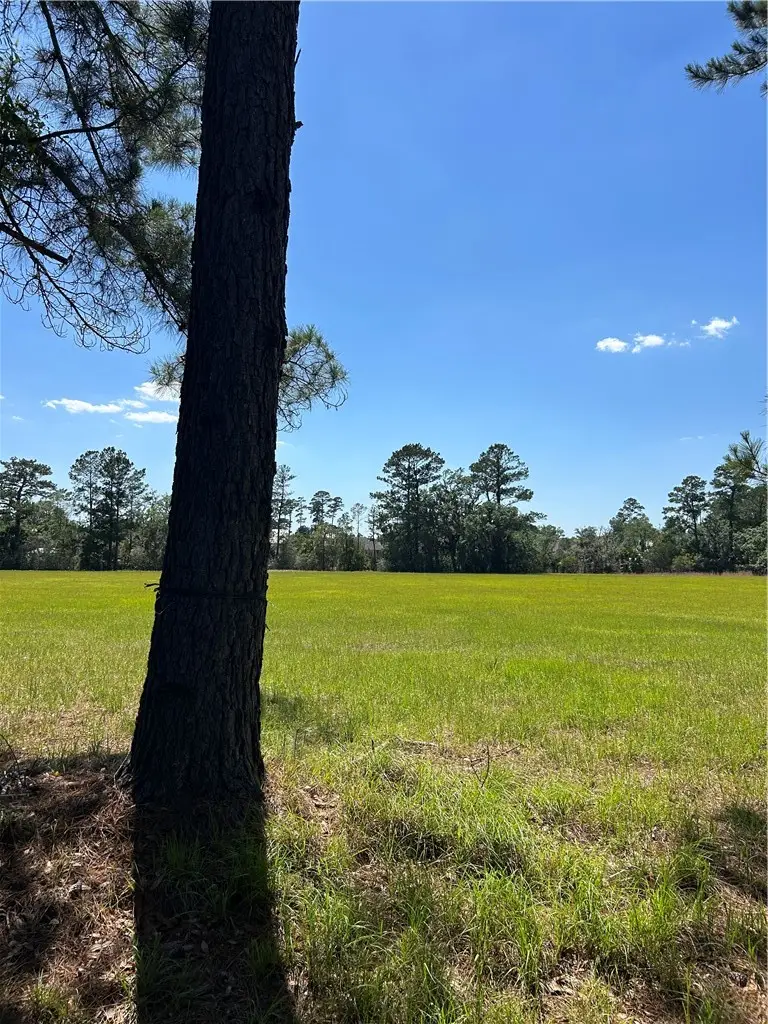 465 Jenkins Farm Road, Brunswick, GA 31523 - #2