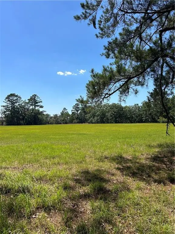 465 Jenkins Farm Road, Brunswick, GA 31523 - #3