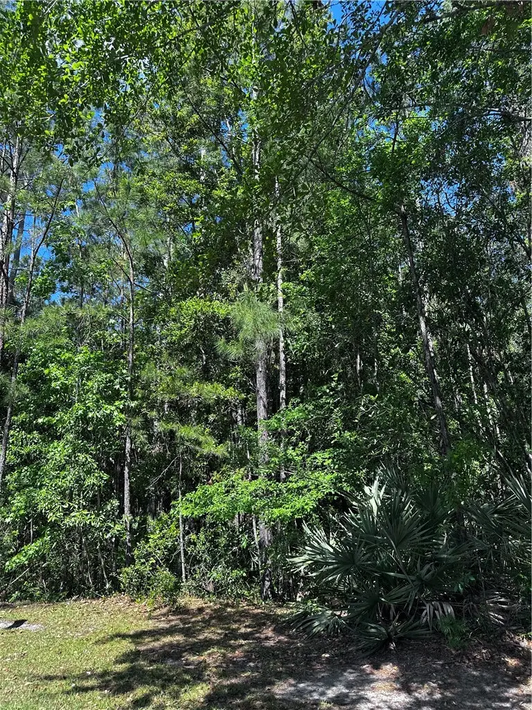 00 Secret Cove, Woodbine, GA 31569 - #2