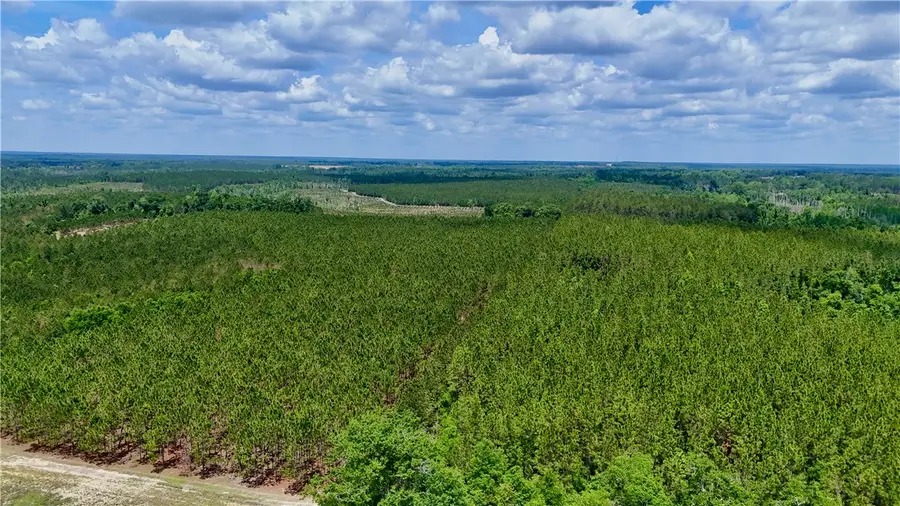 0 Neily Wagon Road, Mc Rae Helena, GA 31037 - #3