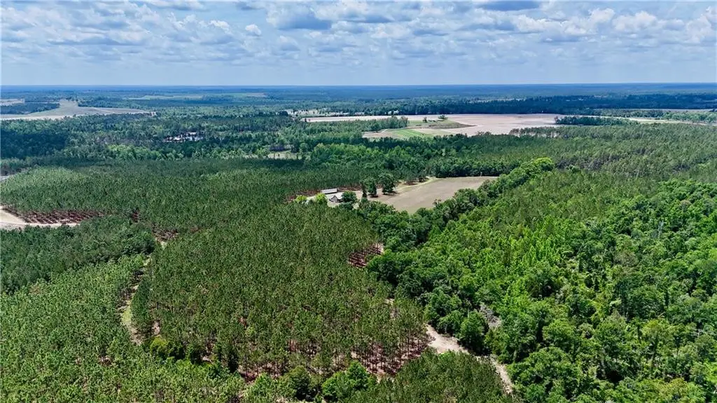 0 Neily Wagon Road, Mc Rae Helena, GA 31037 - #1