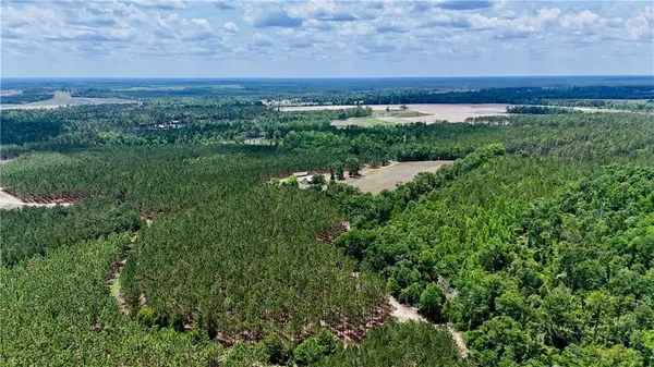 0 Neily Wagon Road, , GA 31037