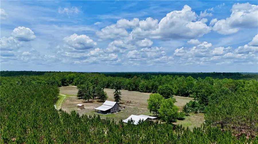 0 Neily Wagon Road, Mc Rae Helena, GA 31037 - #2