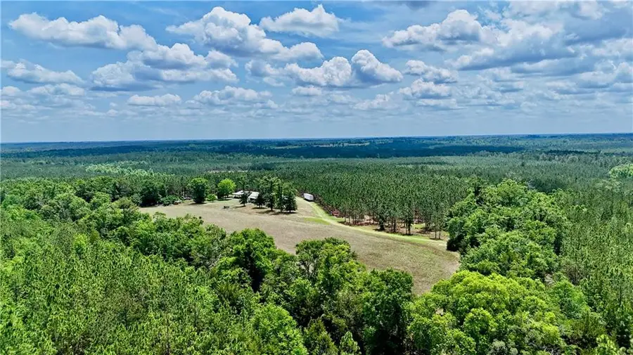 0 Neily Wagon Road, Mc Rae Helena, GA 31037 - #3
