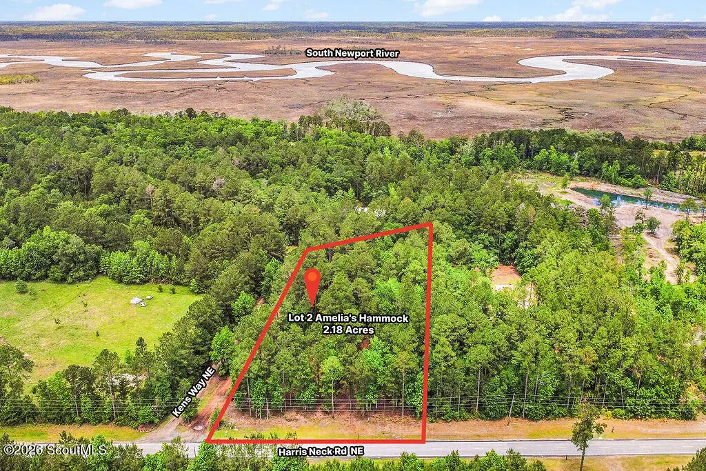 Lot 2 Kens Way Ne #2, Eulonia, GA 31331 - #1