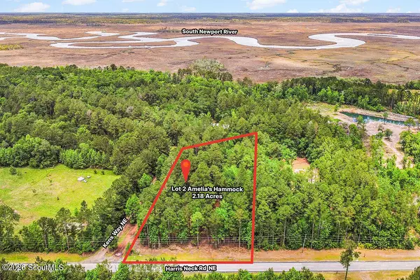 Lot 2 Kens Way Ne #2, Eulonia, GA 31331
