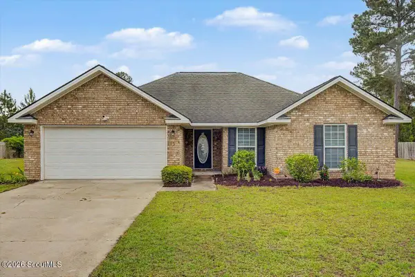 73 Mill Pond Lane, Ludowici, GA 31316